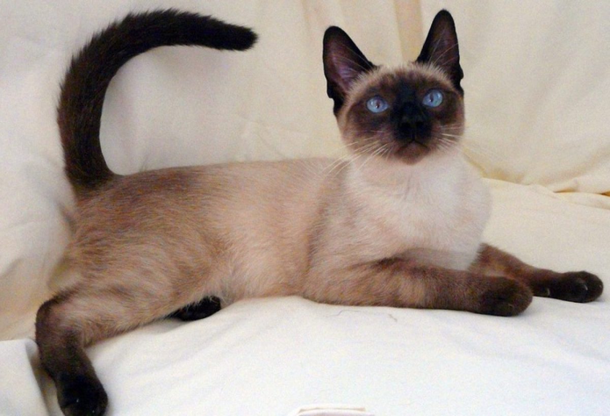 6af8d9d83cd74da4739a0536bae6c24f