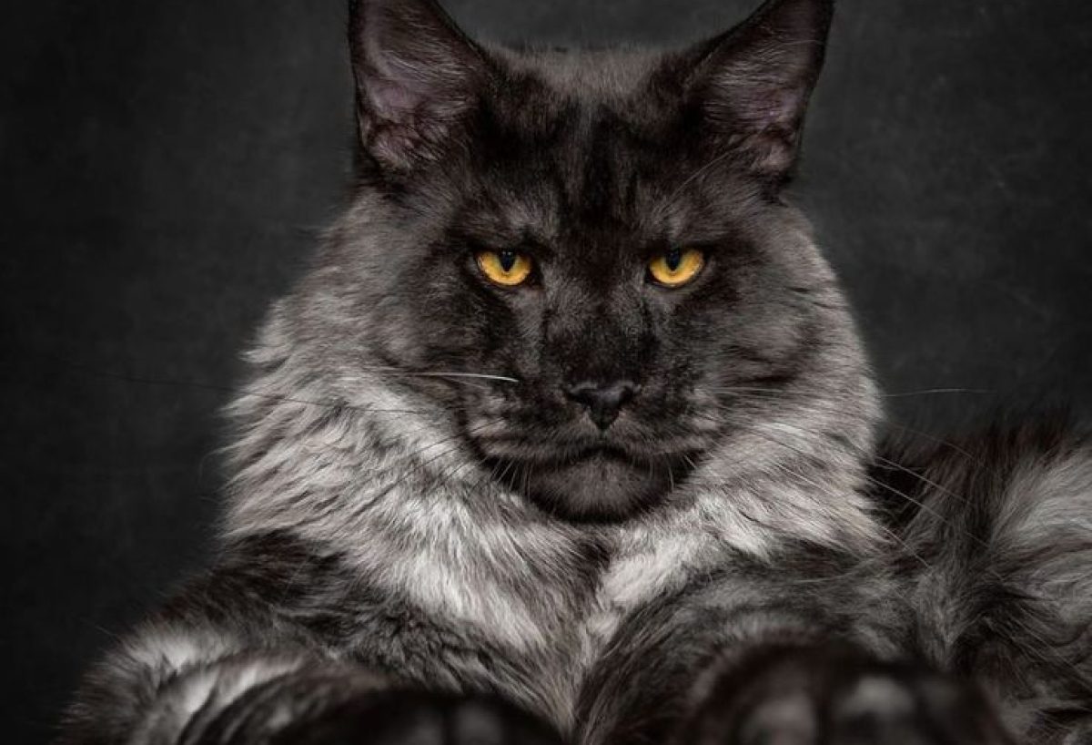 aecaed535e3d2baf123ddb56378019e3